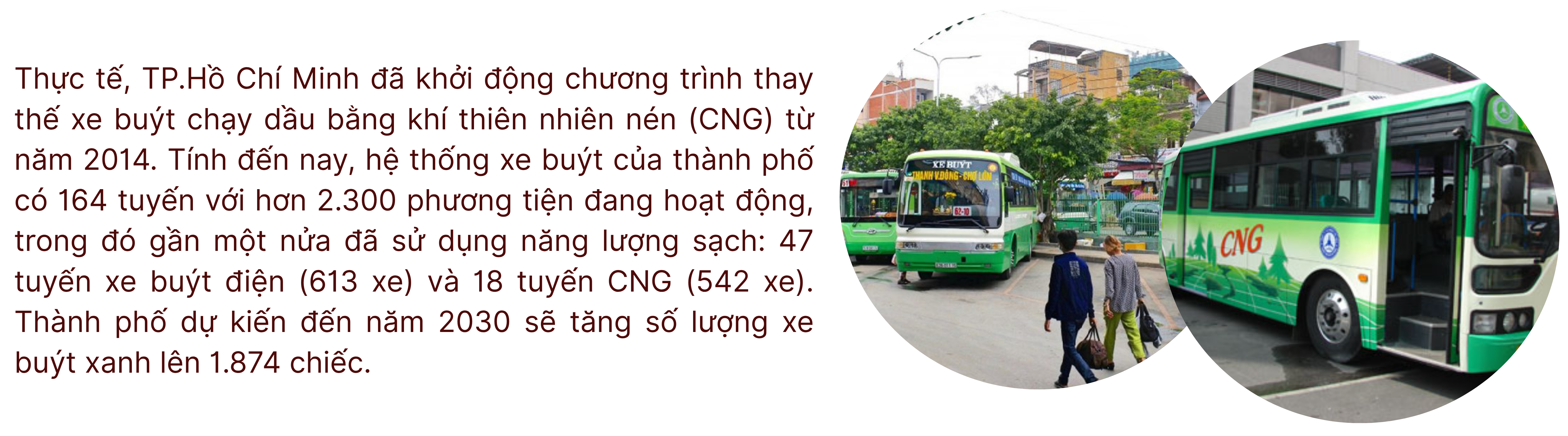 longform-4-1760696000.png