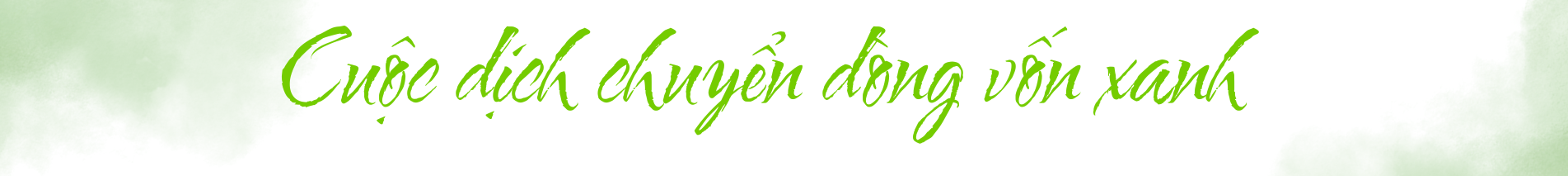 von-xanh-bat-dong-san-4-1761078056.png