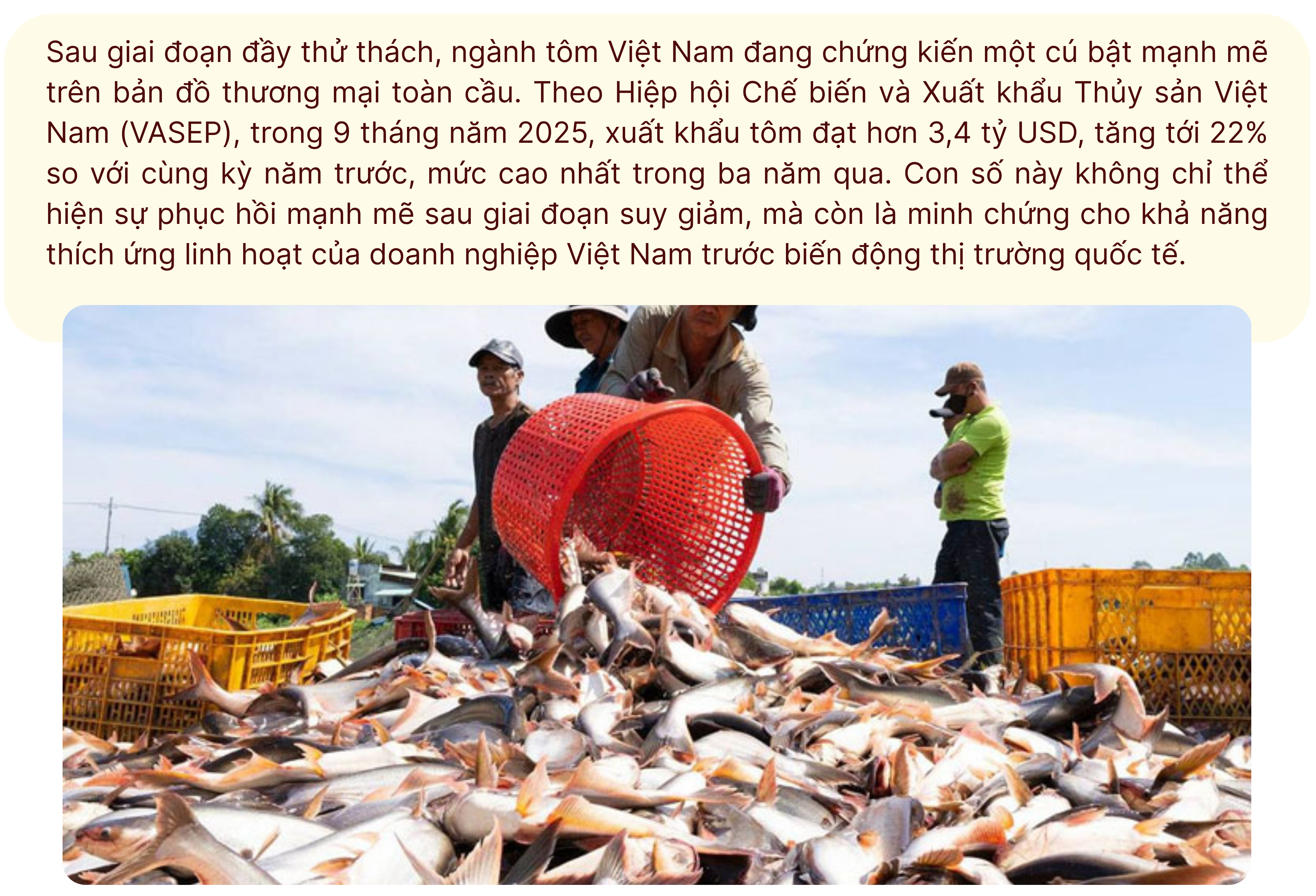 longform-12-1761581712.png