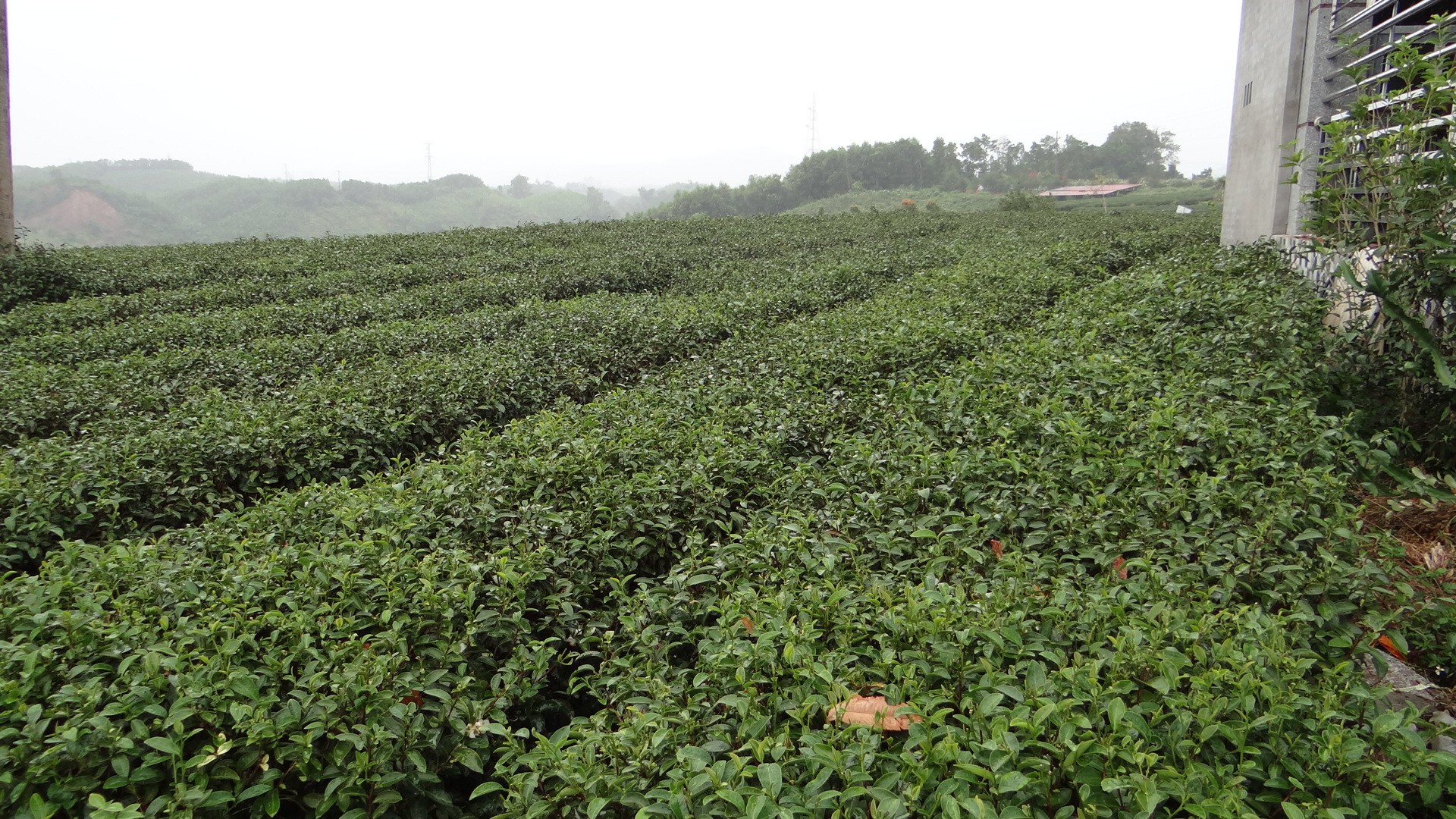 dsc01502-1761879885.JPG