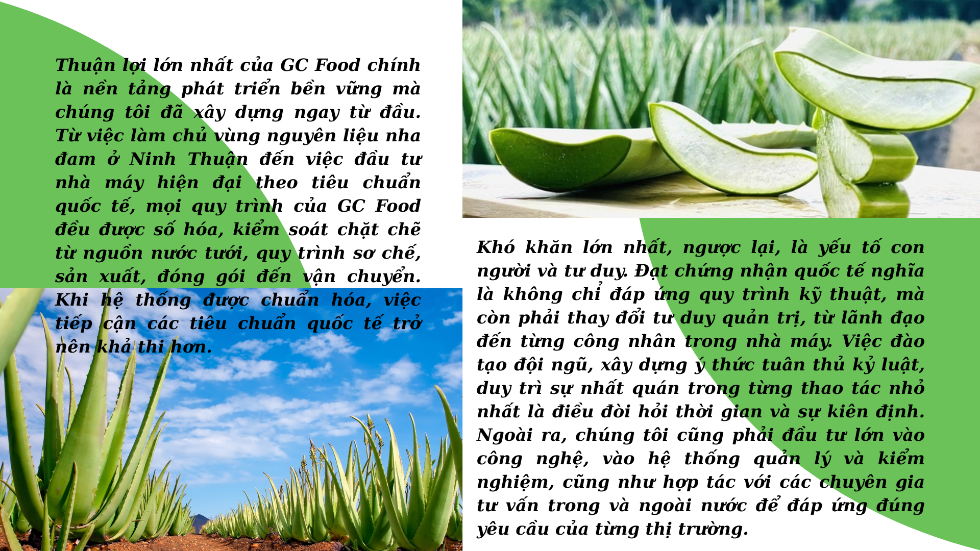 giac-mo-xanh-cua-gc-food-9-1762508960.png