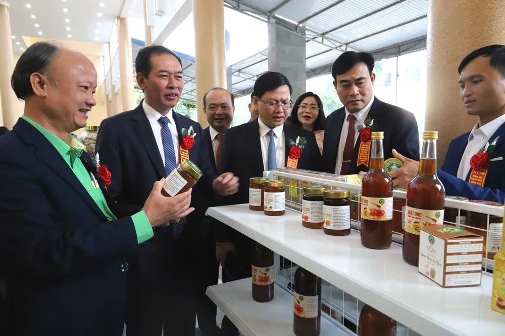 Thanh Hóa: 97 hội viên nông dân tiêu biểu xuất sắc được biểu dương