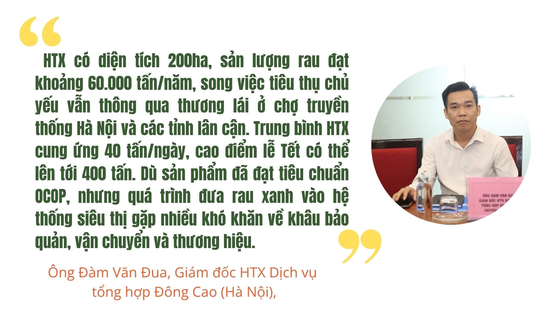ong-dam-van-dua-1762767708.jpg