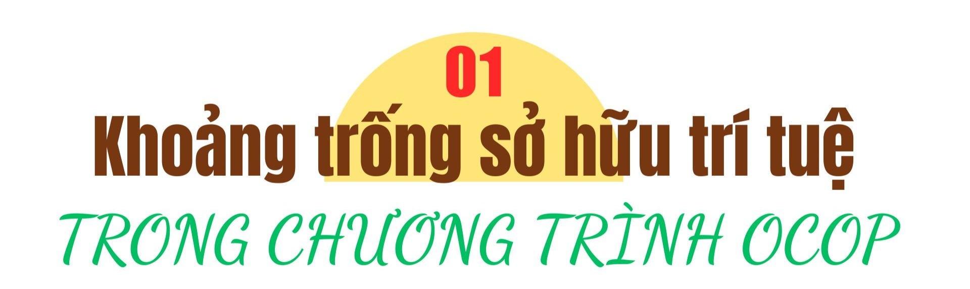tieu-de-bai-2-picsart-cropimage-1762767603.jpg