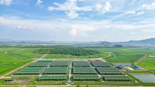 thaco-gia-lai-1763516311.jpg
