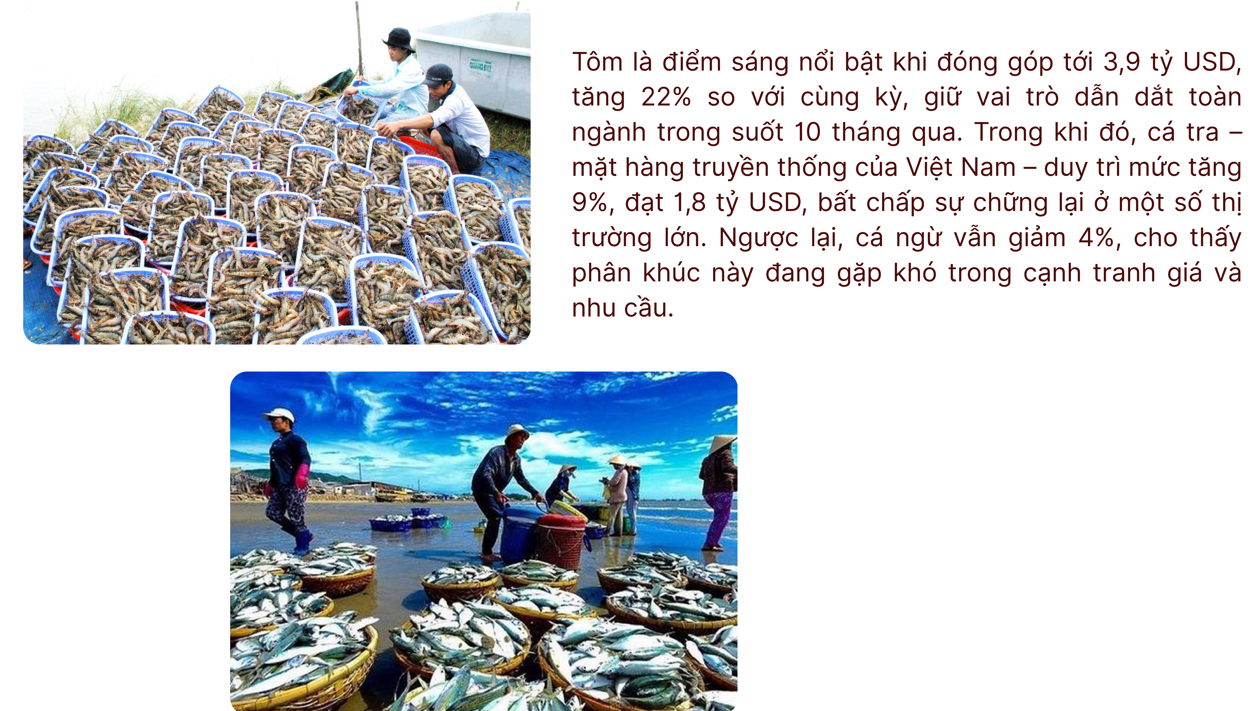 longform-24-1763637996.png