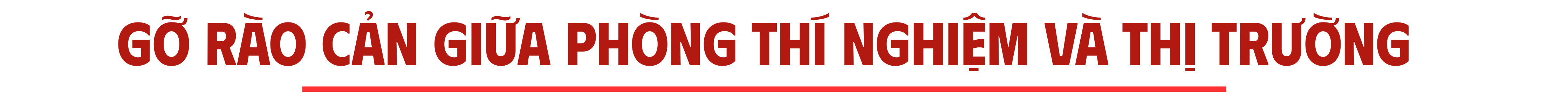 longform-8-1763870950.png