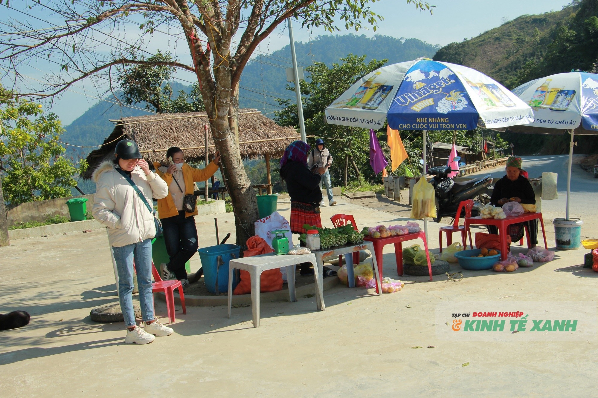 img-1215-1764083729.JPG