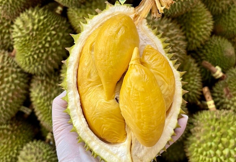 gia-sau-rieng-hom-nay-3-12-2025-tapchidoanhnghiepkinhtexanh-1764725950.png