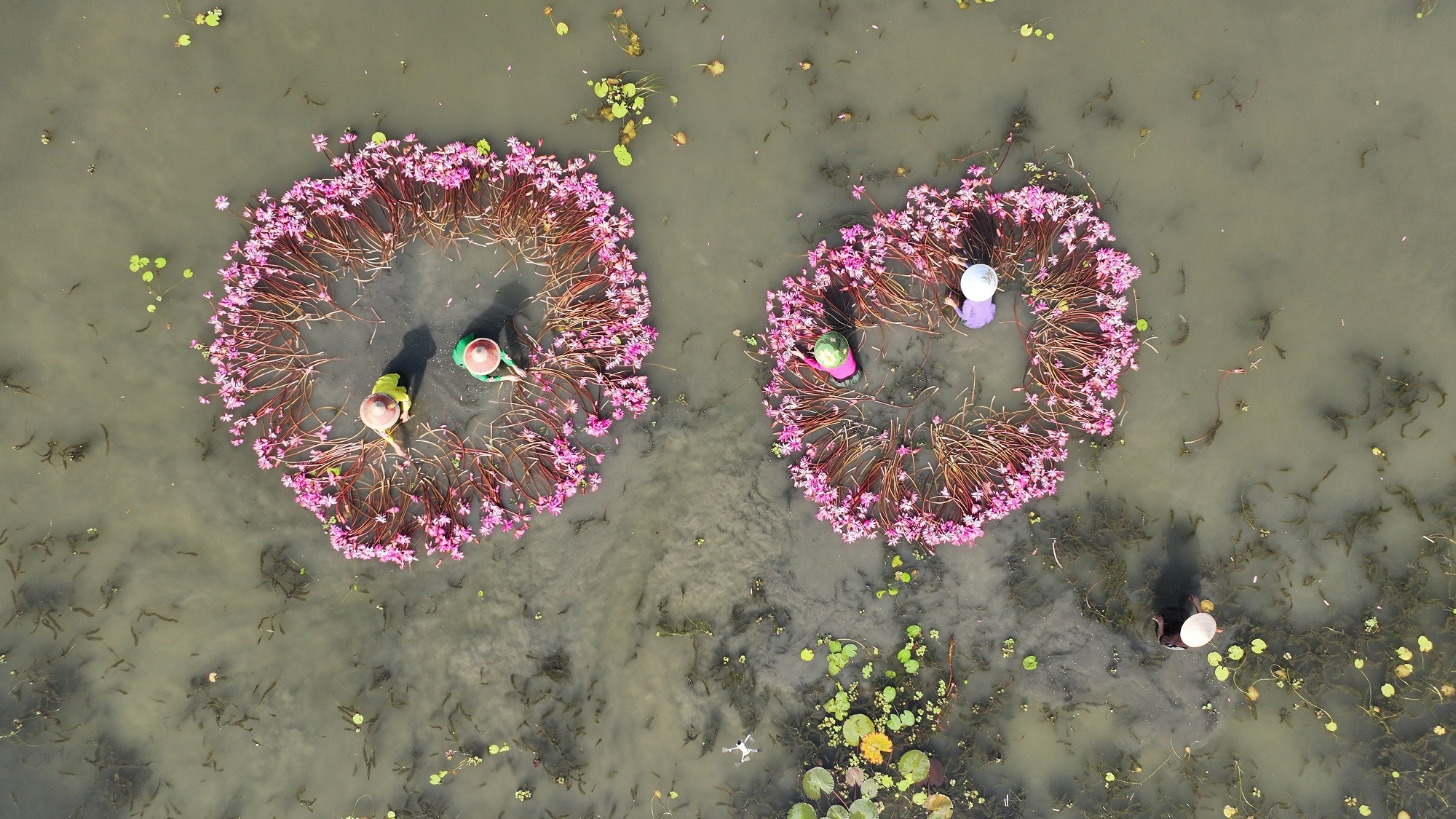 ban-sao-cua-dji-20251009084411-0132-d-1764820156.JPG