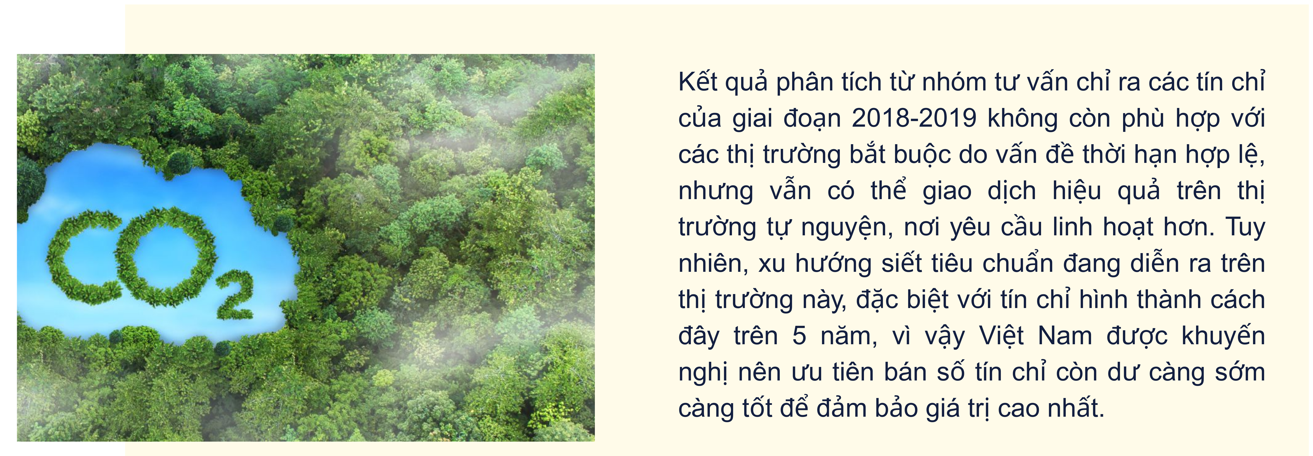 longform-23-1764932313.png