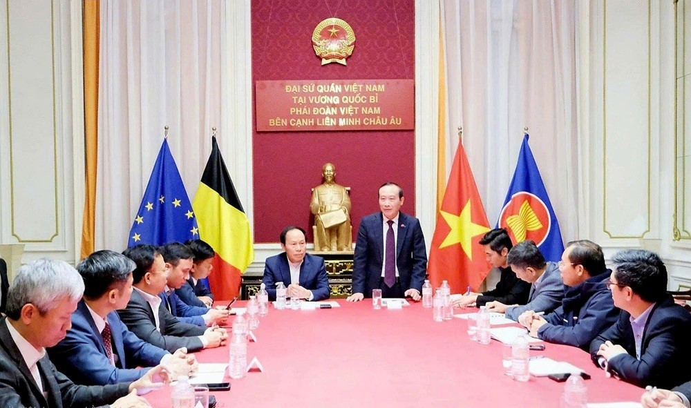 chuyen-tham-cua-doan-cong-tac-hai-phong-tai-dai-su-quan-viet-nam-tai-bi-anh-nguyen-hoang-1765189370.jpg