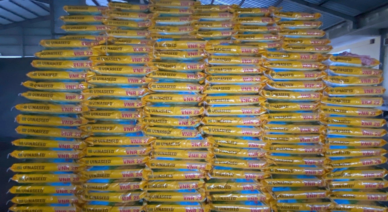cung-ung-lua-giong-1-1765181496.jpg