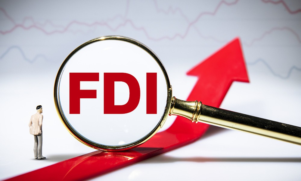 fdi-1765385153.jpg