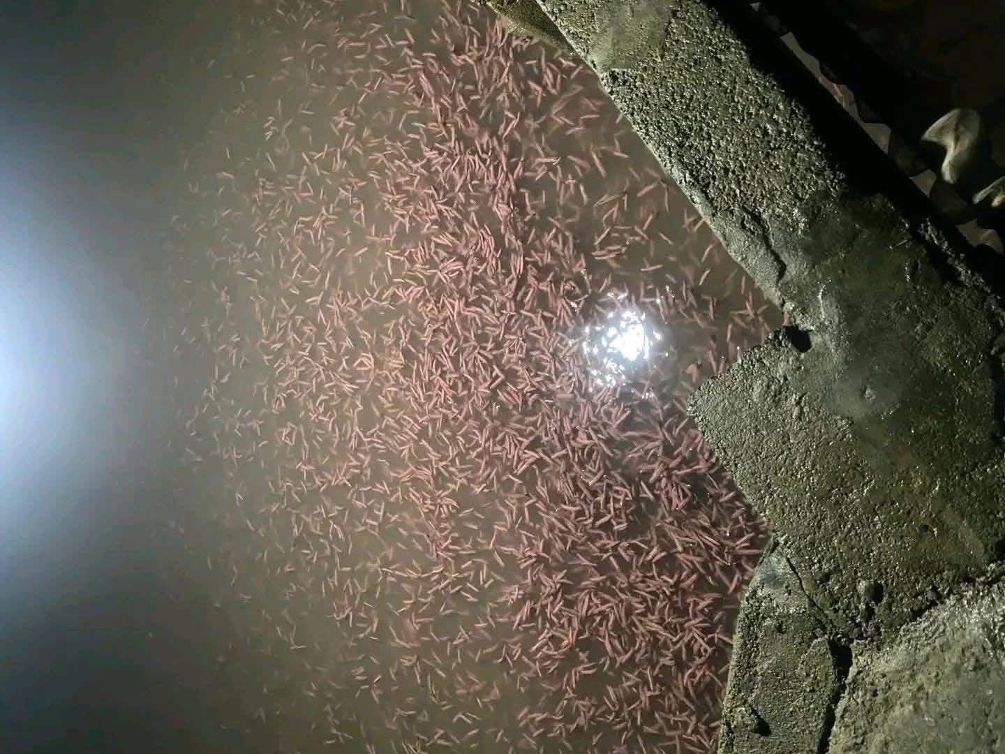 597558951-2465908040492963-88156195309763818-n-1765442925.jpg