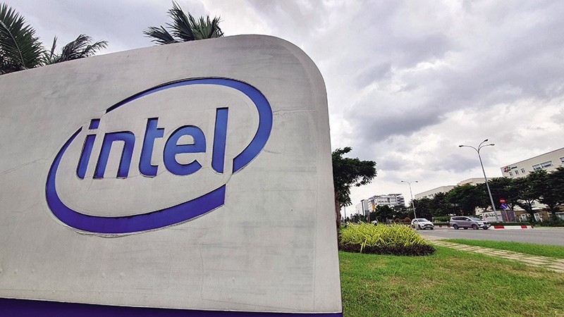 intel-tphcm-1765418232.jpg