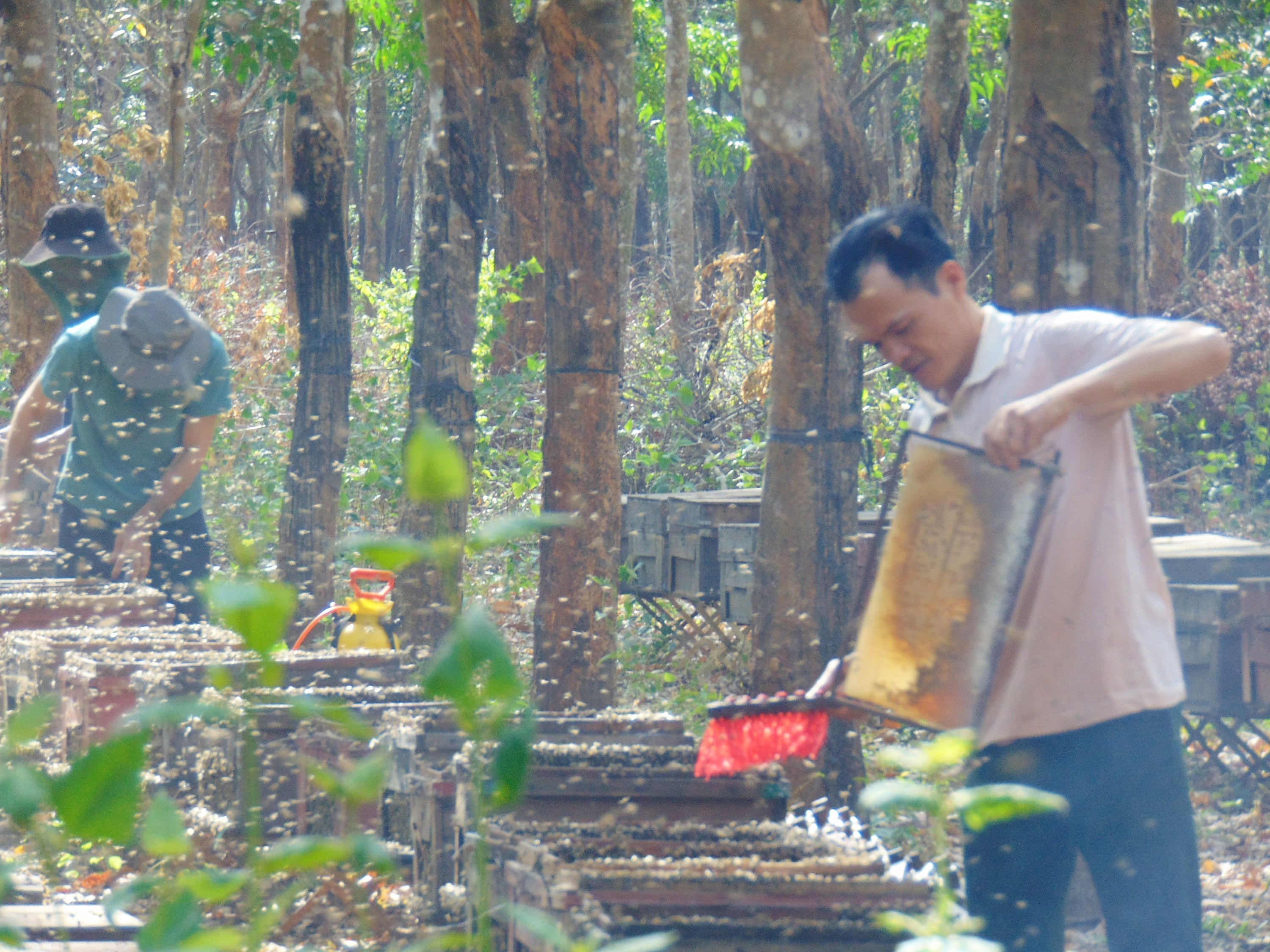 cong-doan-dau-tien-anh-tuan-hun-khoi-xua-ong-1765898073.jpg