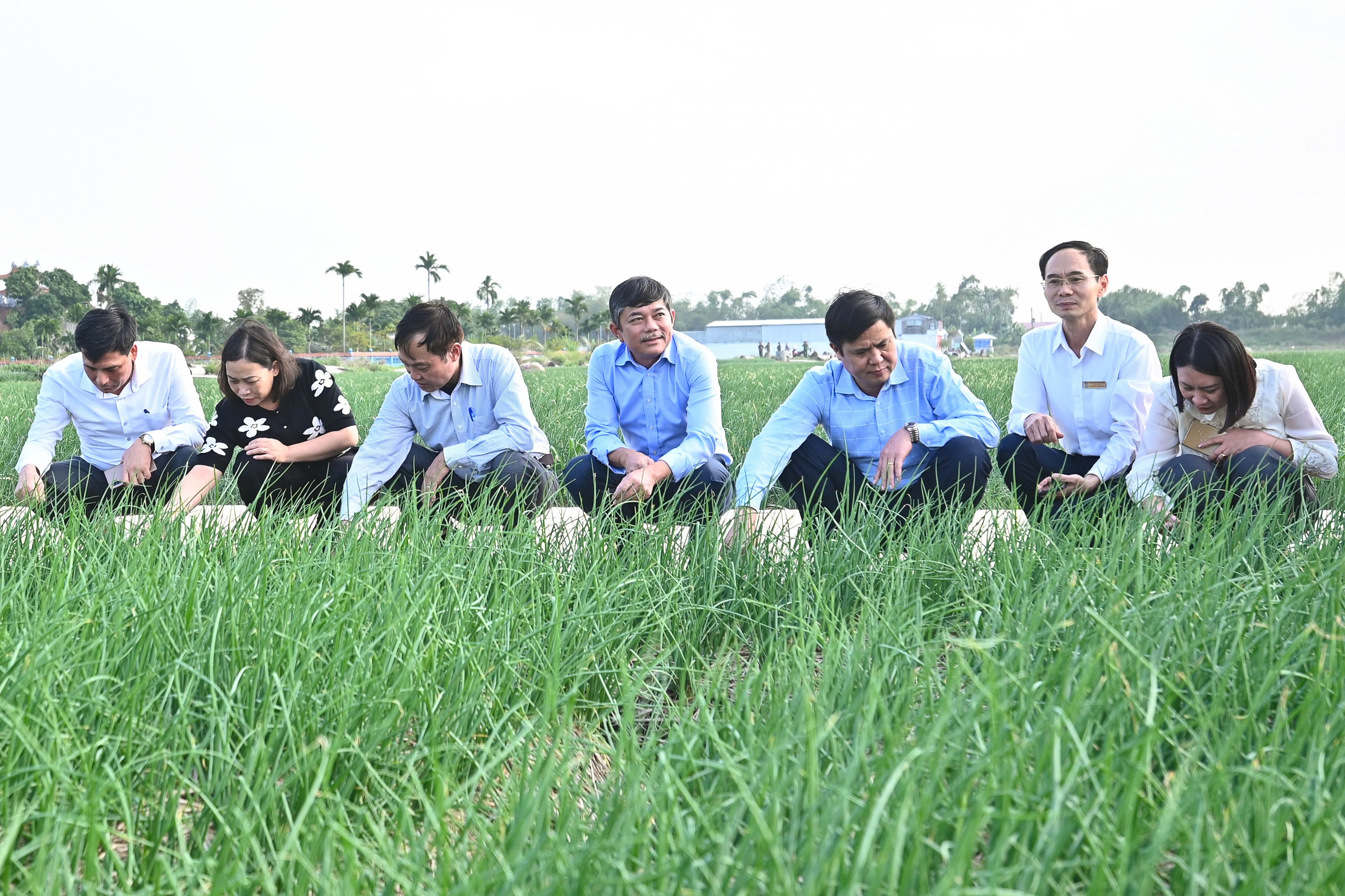dien-dan-ket-noi4-1766476647.jpg
