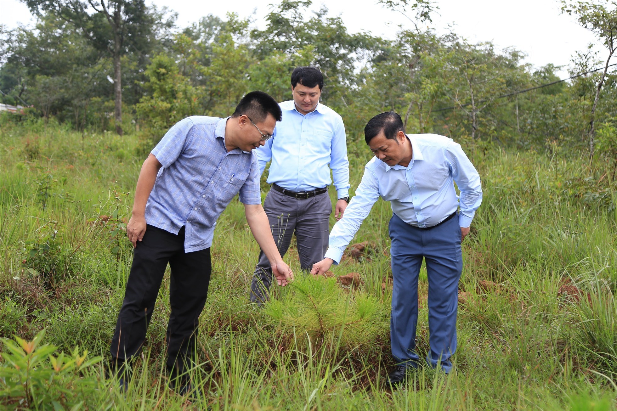 quang-khe-7-1767176771.jpg
