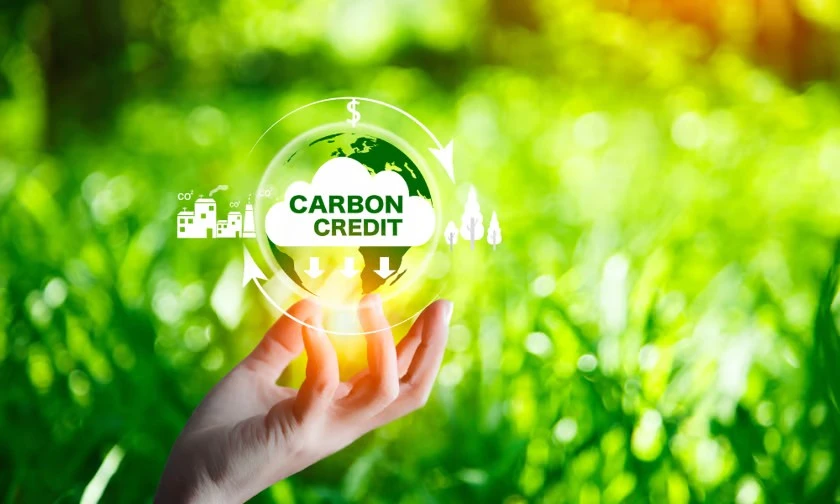 carbon-thi-truong-1767412754.png