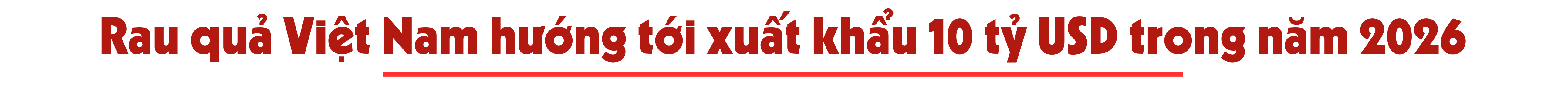 longform-10-1767415487.png