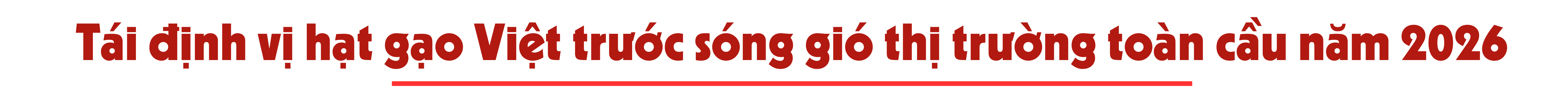 longform-1767707374.png