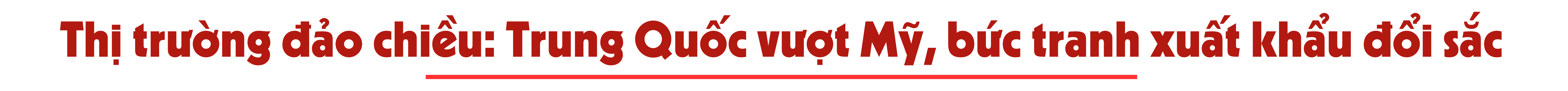 longform-1-1768405011.png
