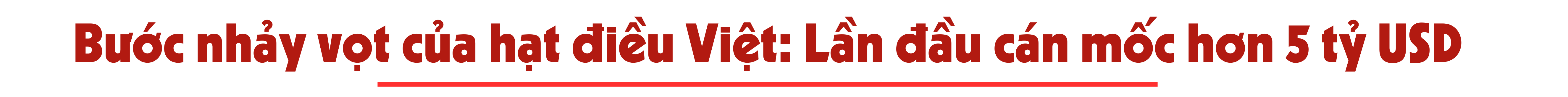 longform-1768404991.png