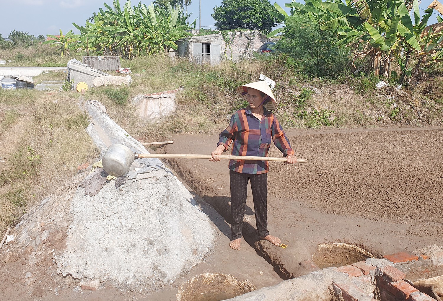 lam-muoi2-1769420977.jpg