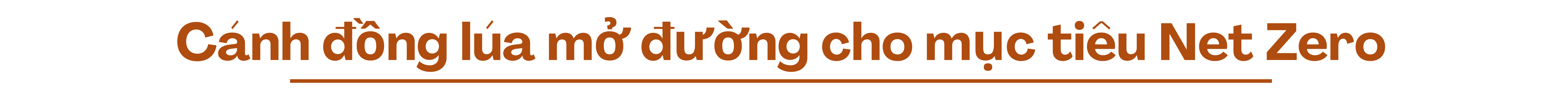 longform-3-1769445780.png