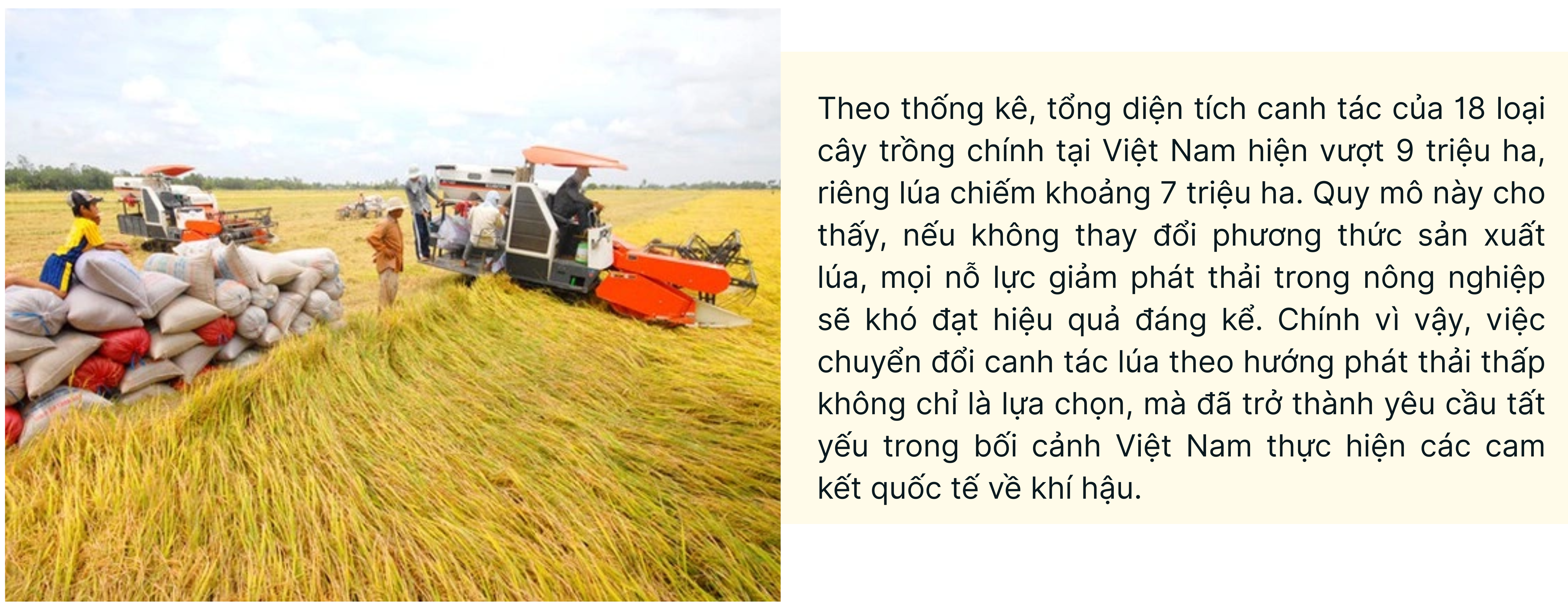 longform-5-1769446062.png