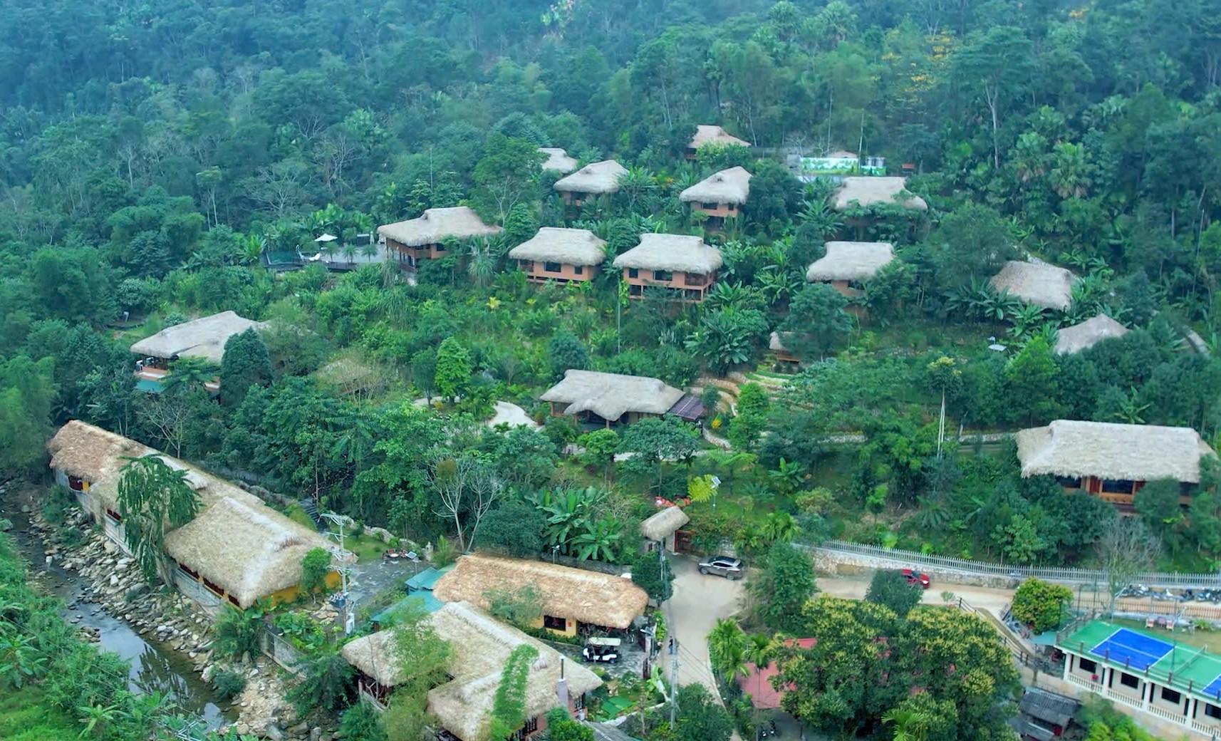 anh1-1770027673.jpg