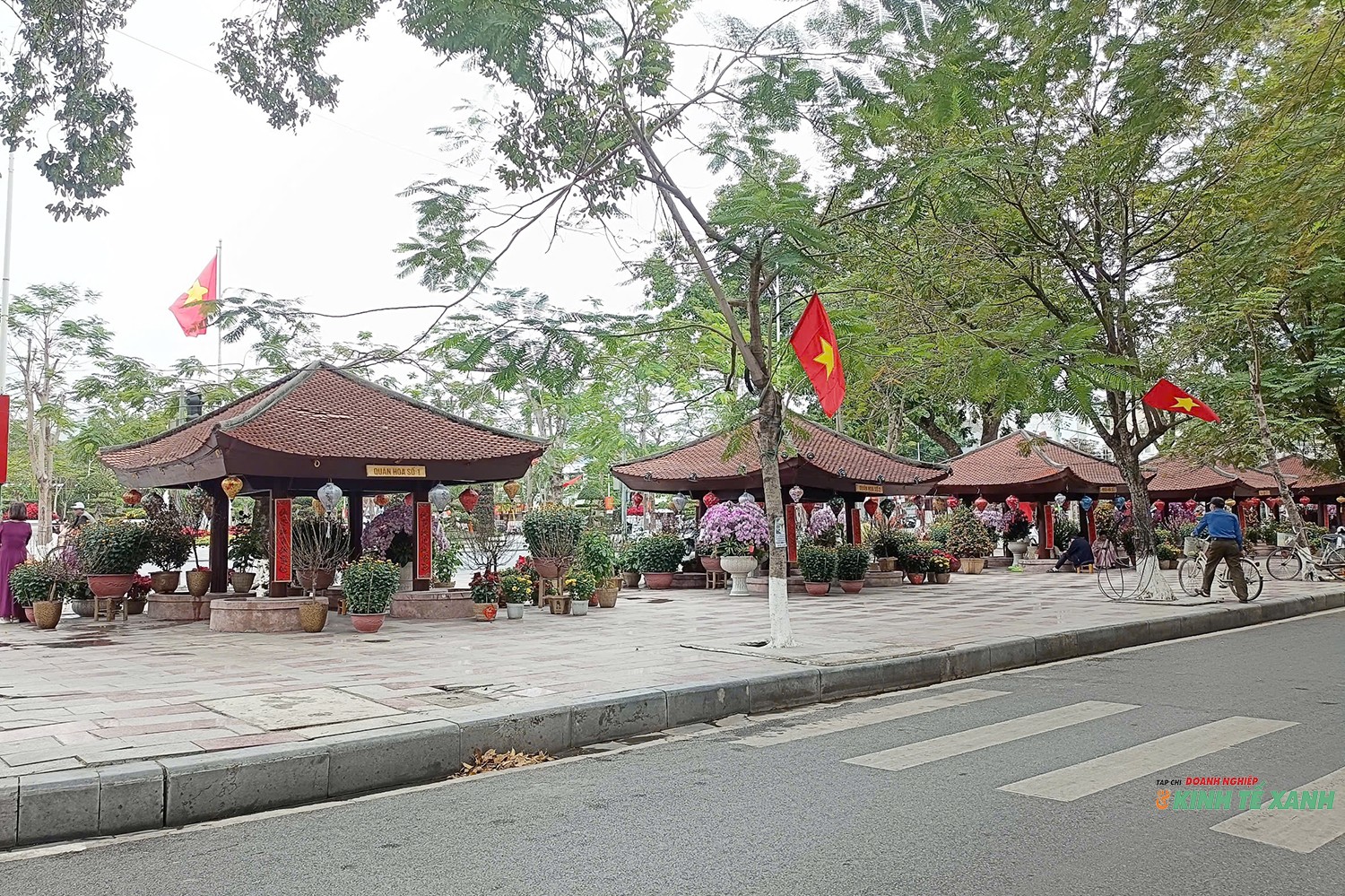 quan-hoa1-1770441330.jpg