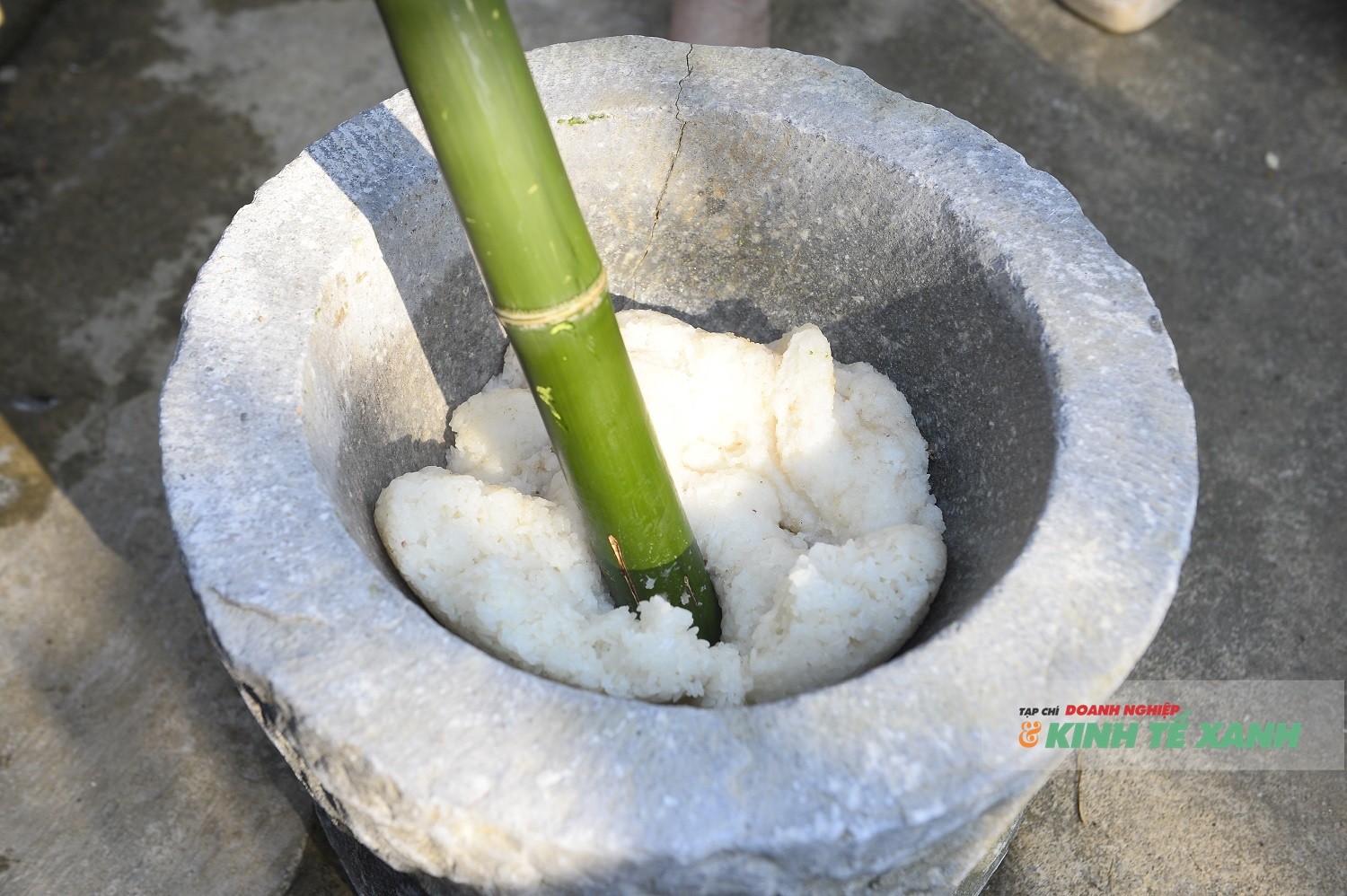 tet-nam-cung-4-1770556945.JPG
