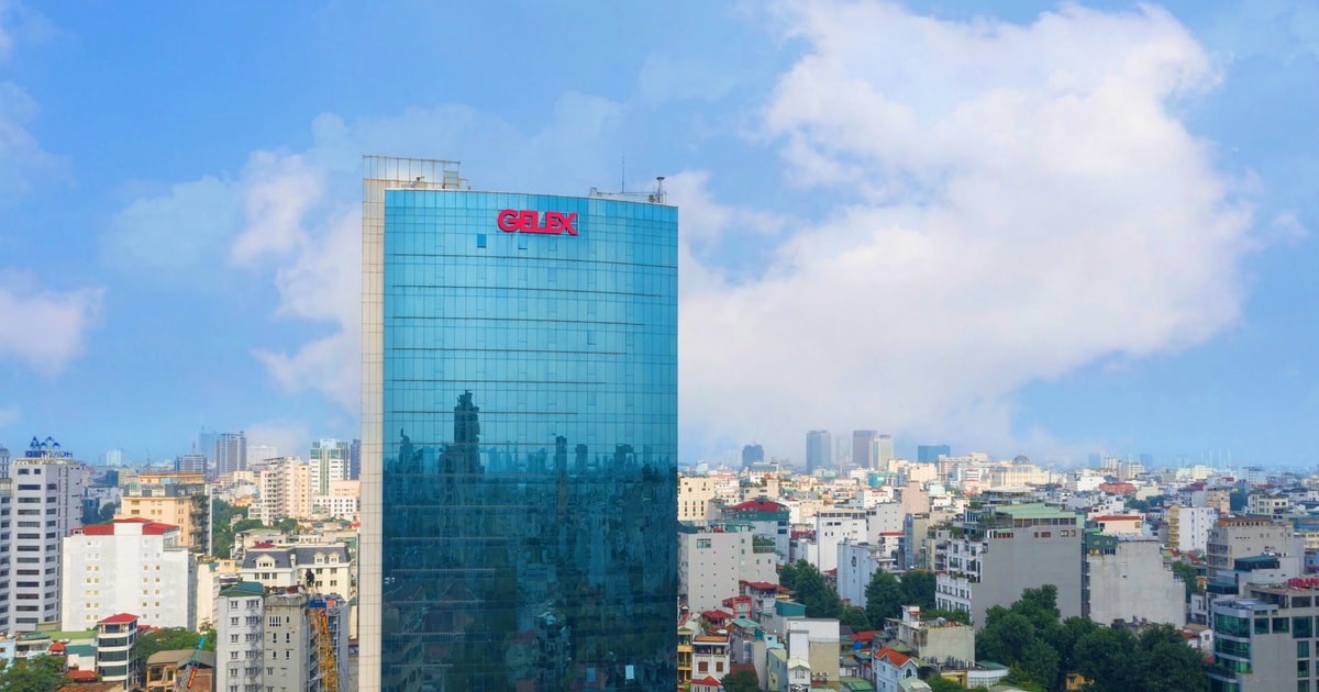 gelex-1770636246.jpg