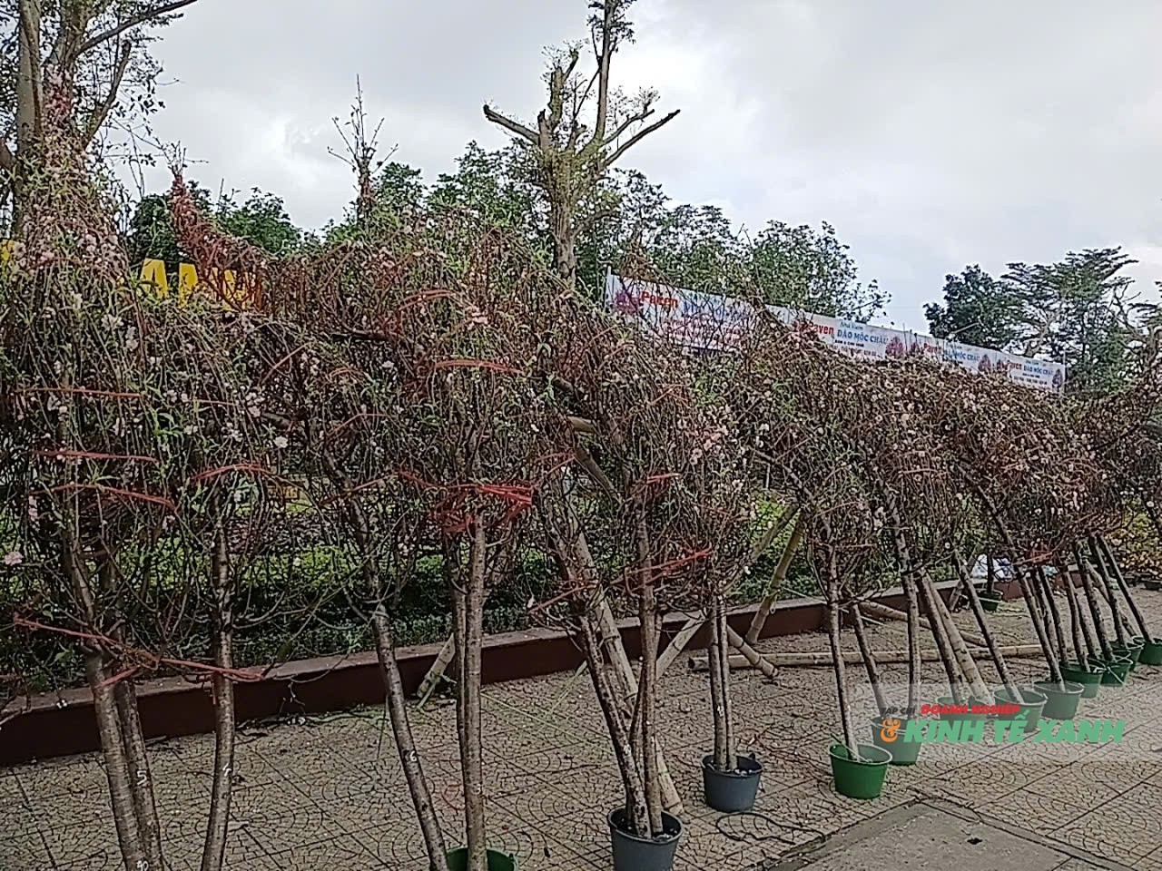 tthtna2-1770878736-1770907482.jpg