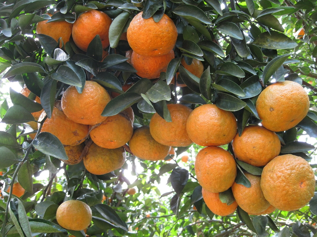 cs-1770951309.png