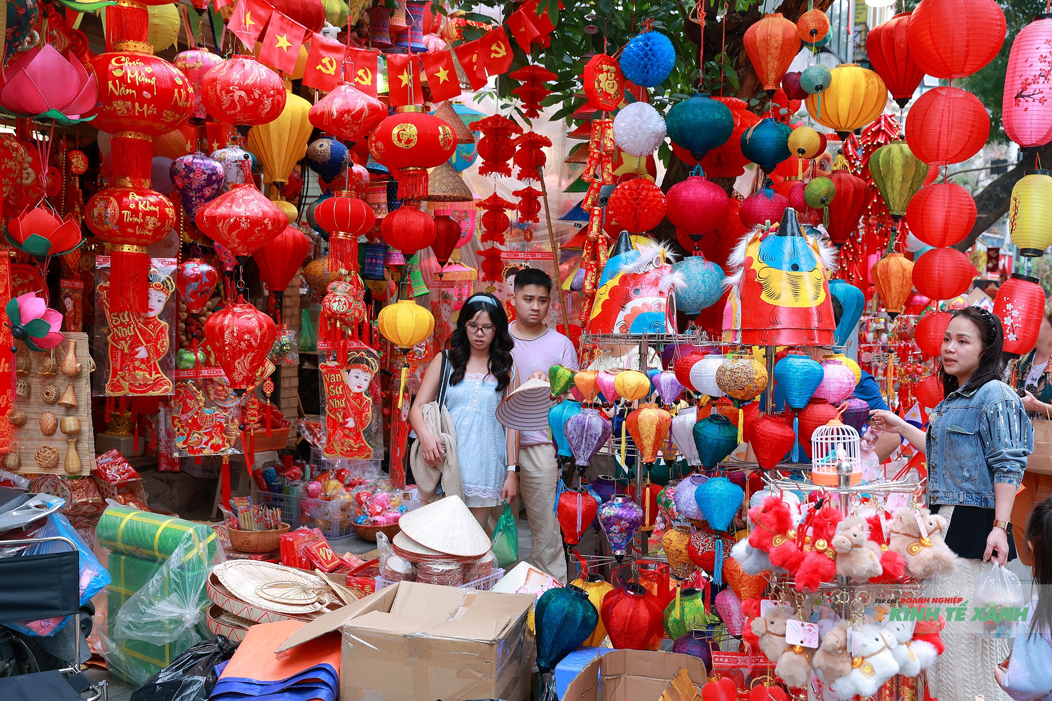 tad-6242-1771153856.JPG