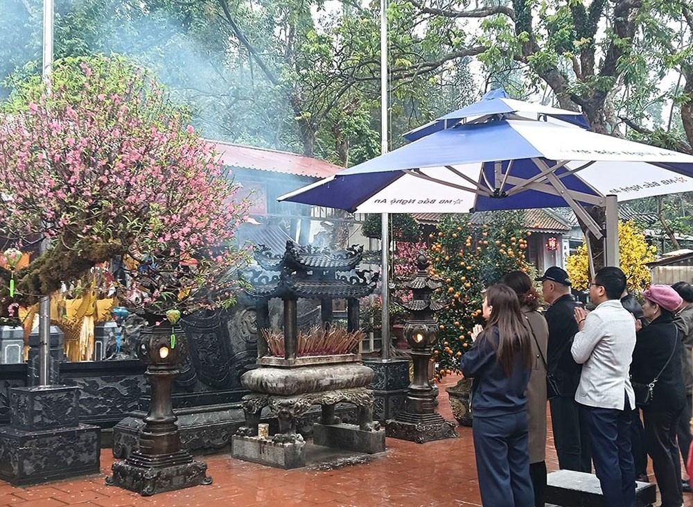 den-cui-1771580129.jpg