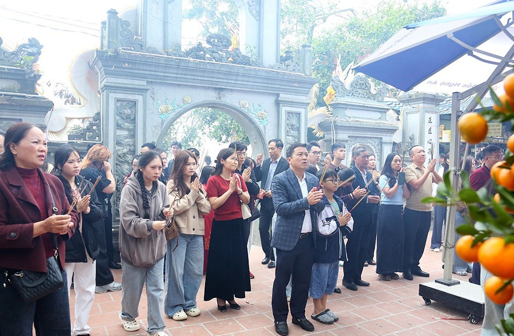 den-cui-4-1771580145.jpg