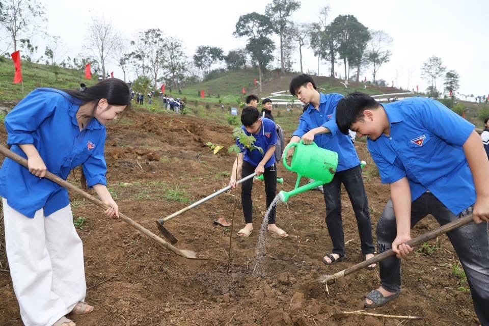 c5a29f33-52ce-4689-926b-130befc02b43-1771821097.jpg
