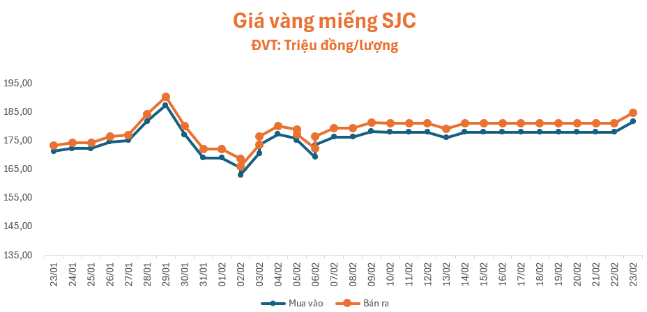 gia-vang-232-1771815499.png