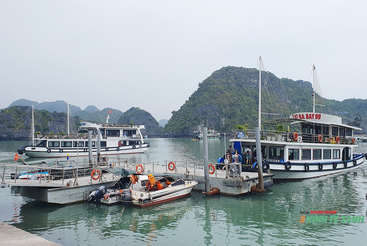 cat-ba-dau-xuan3-1772174984.jpg