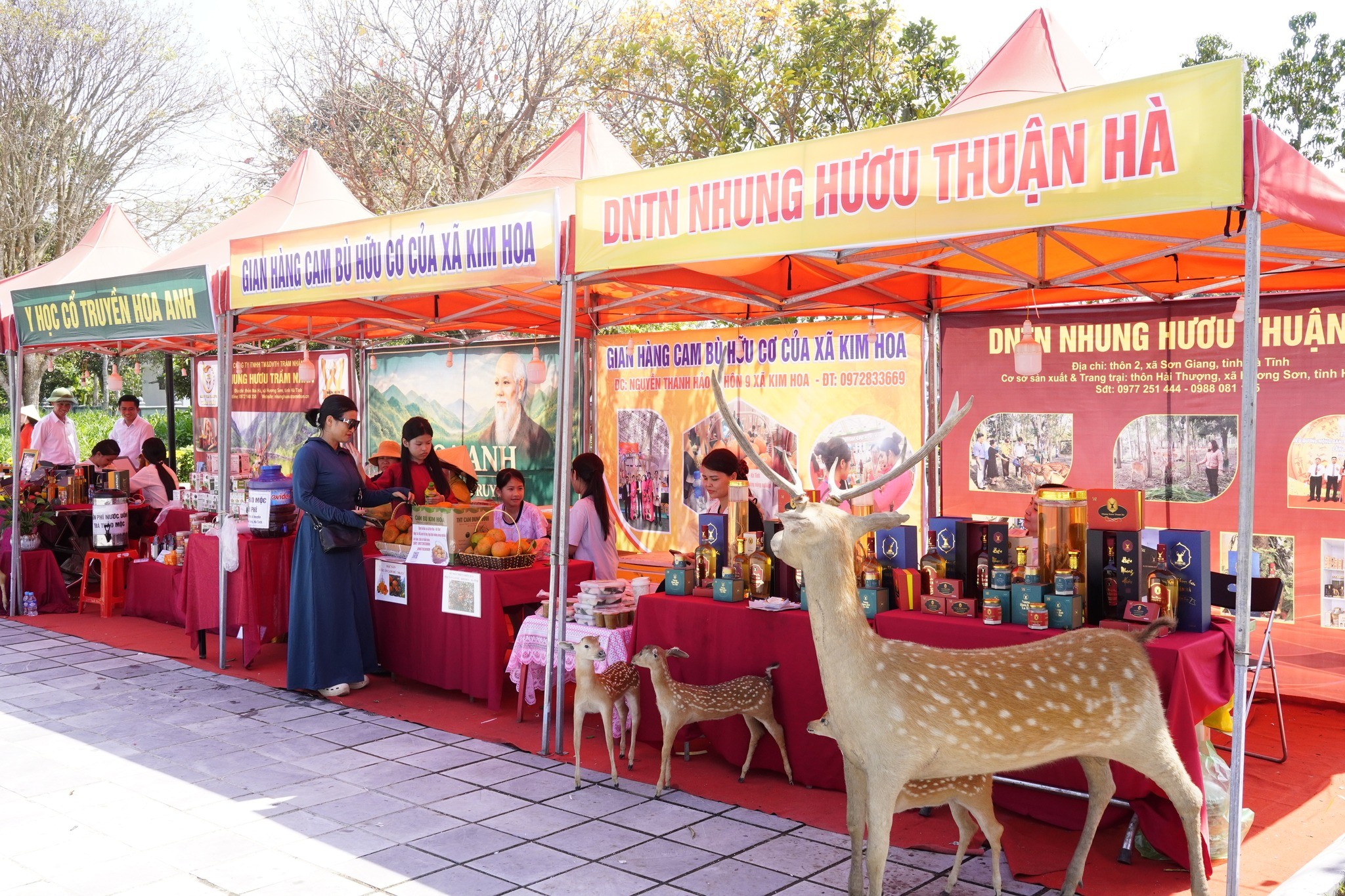 le-hoi-hai-thuong-lan-ong-1-1772368926.jpg