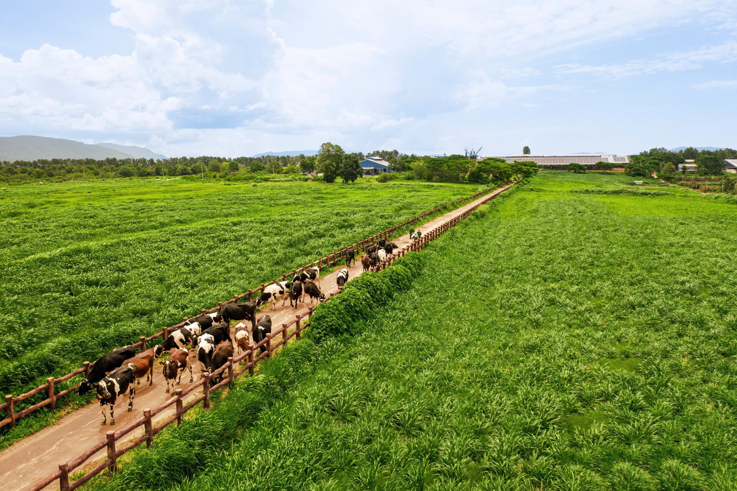 Anh hùng Lc888 Thể Thao Link Mới Mai Kiều Liên: “Tự chủ và bản lĩnh là điều kiện tiên quyết để 10Lc88 Casino & Thể Thao Link Mới Việt vươn tầm thế giới”