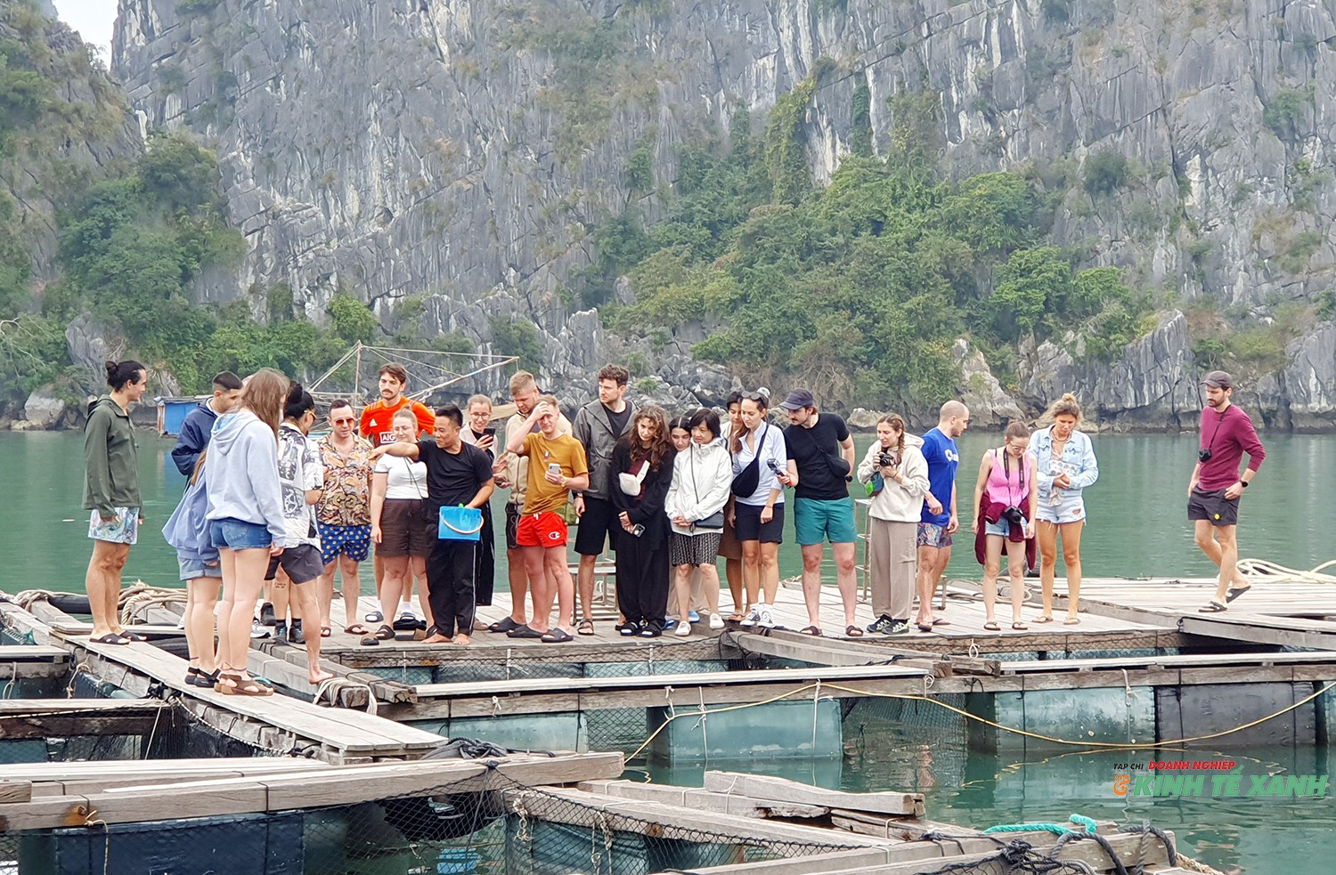 ca-song-vua1-1772801916.jpg