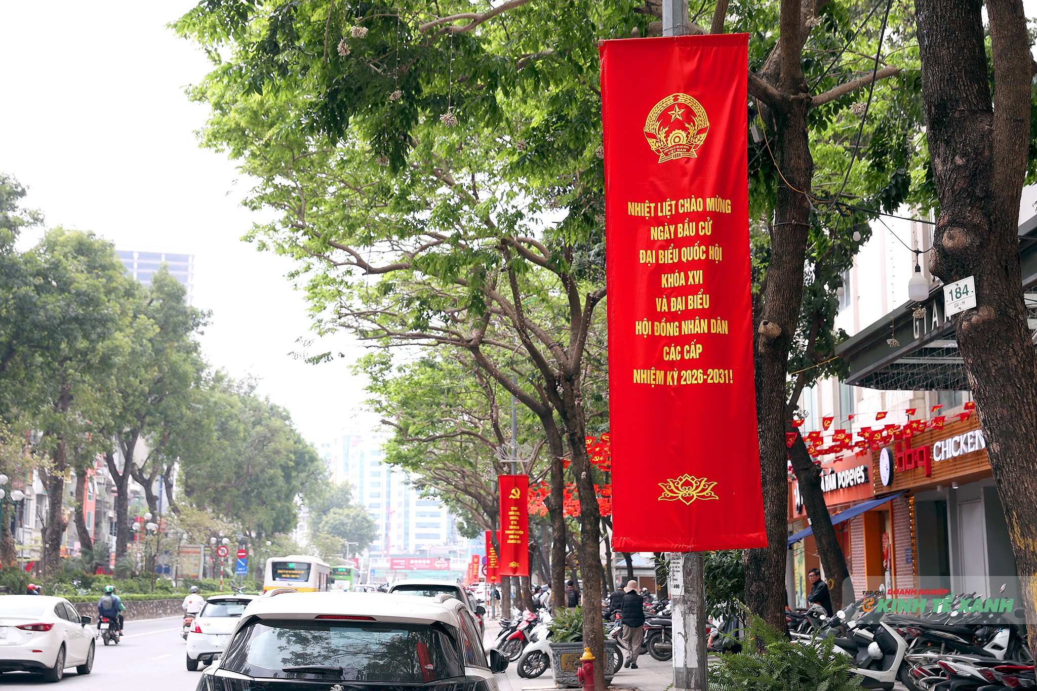 tad-0555-1773472742.JPG