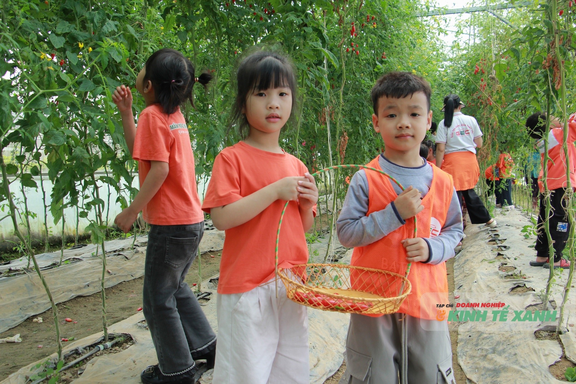 nong-nghiep-sach-5-1773732547.JPG