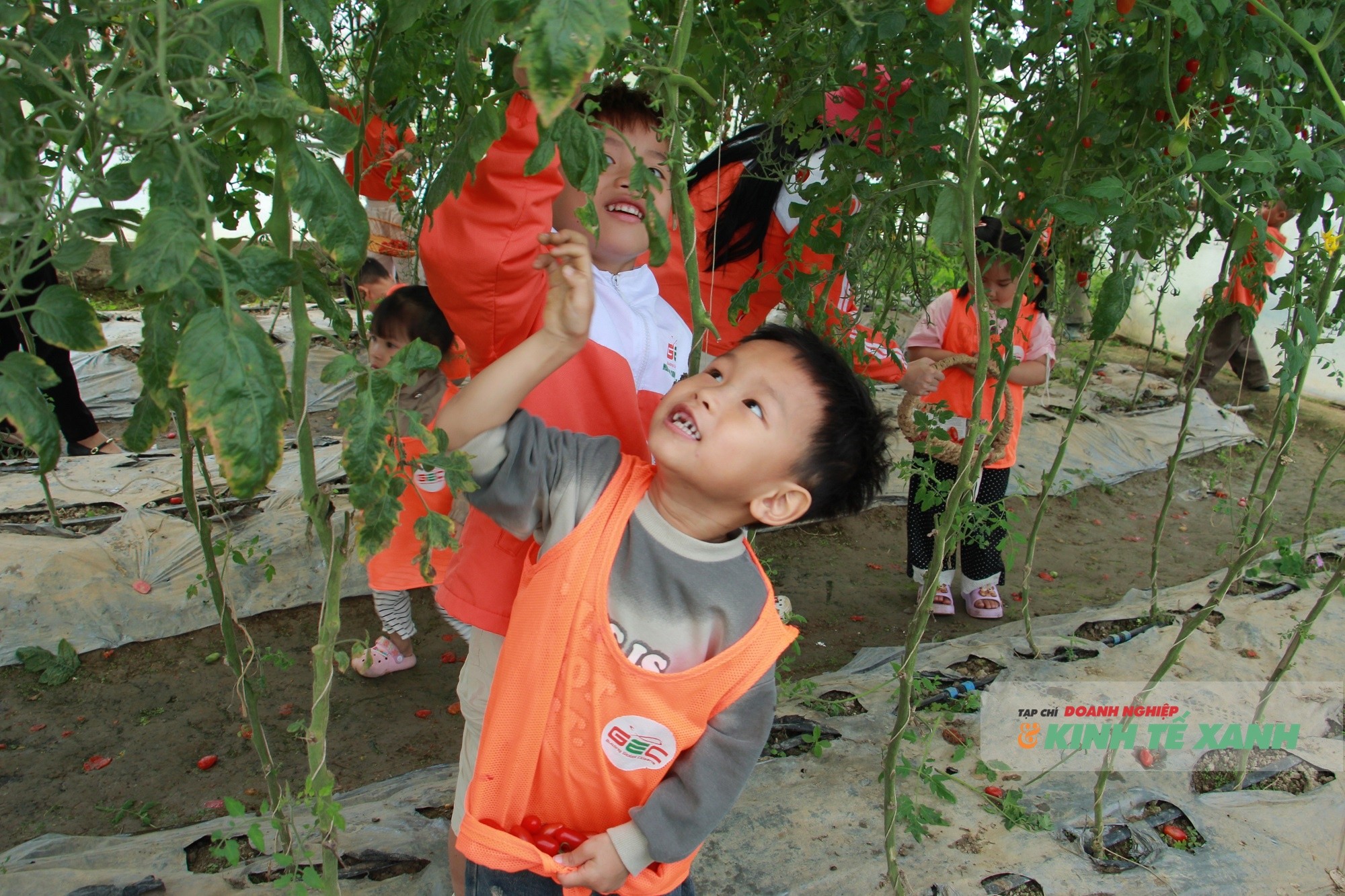 nong-nghiep-sach-6-1773732546.JPG