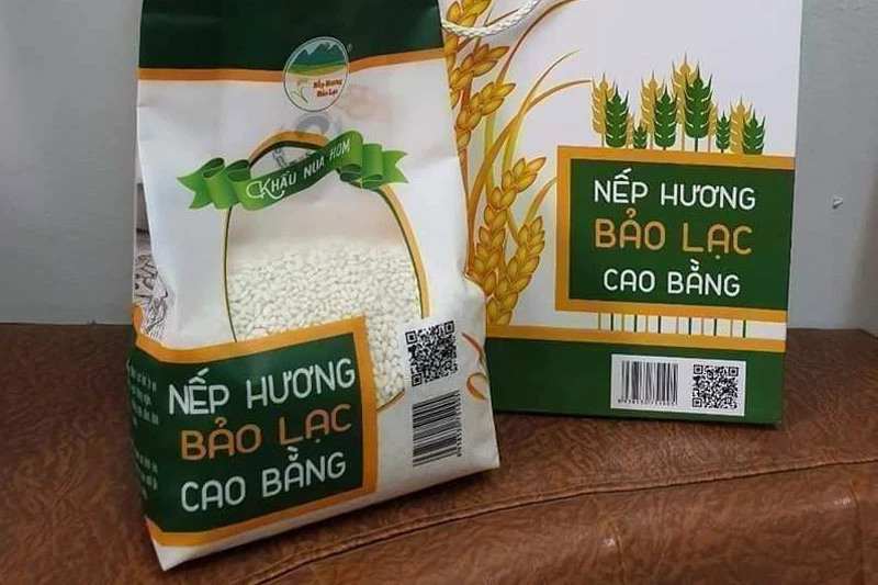 nhcb-1774223977.png